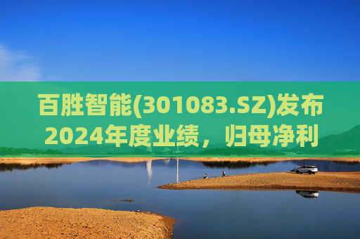 百胜智能(301083.SZ)发布2024年度业绩，归母净利润3302万元，同比下降6.15%  第1张