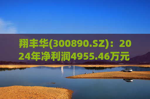 翔丰华(300890.SZ)：2024年净利润4955.46万元 同比下降40.23%  第1张