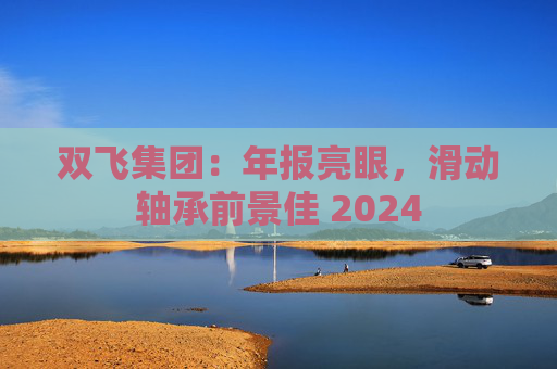 双飞集团：年报亮眼，滑动轴承前景佳 2024