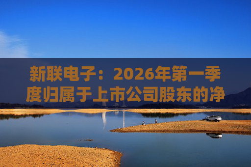 新联电子：2026年第一季度归属于上市公司股东的净利润是91152716.65元