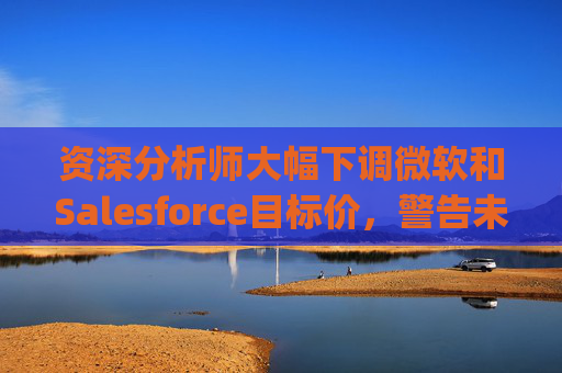资深分析师大幅下调微软和Salesforce目标价，警告未来一年将"艰难"  第1张