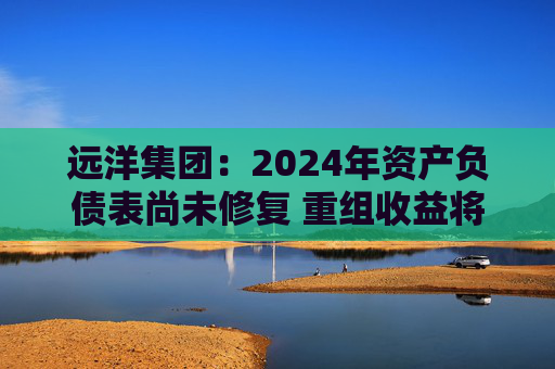 远洋集团：2024年资产负债表尚未修复 重组收益将于2025年释放