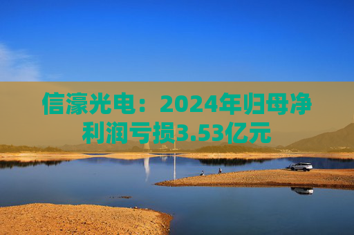 信濠光电：2024年归母净利润亏损3.53亿元