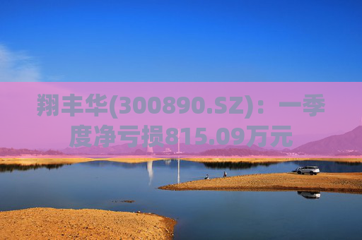 翔丰华(300890.SZ)：一季度净亏损815.09万元  第1张
