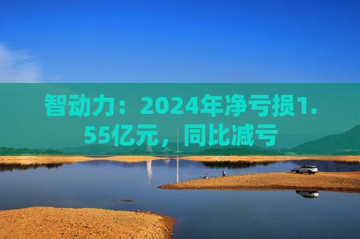 智动力：2024年净亏损1.55亿元，同比减亏  第1张