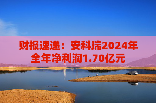 财报速递：安科瑞2024年全年净利润1.70亿元  第1张