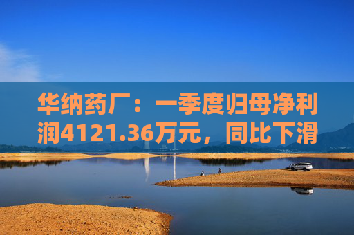 华纳药厂：一季度归母净利润4121.36万元，同比下滑31.37%