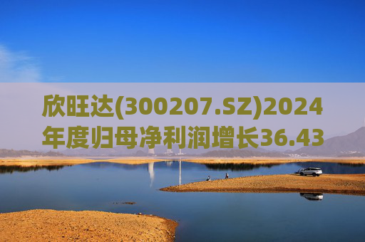 欣旺达(300207.SZ)2024年度归母净利润增长36.43%至14.68亿元,动力电池出货量合计25.29GWh 第1张 欣旺达(300207.SZ)2024年度归母净利润增长36.43%至14.68亿元,动力电池出货量合计25.29GWh 第1张