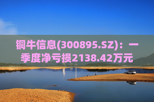 铜牛信息(300895.SZ)：一季度净亏损2138.42万元  第1张