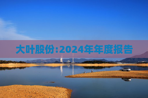 大叶股份:2024年年度报告  第1张