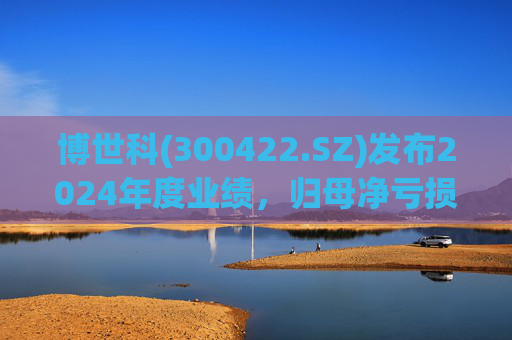 博世科(300422.SZ)发布2024年度业绩,归母净亏损8.65亿元,扩大300.66%