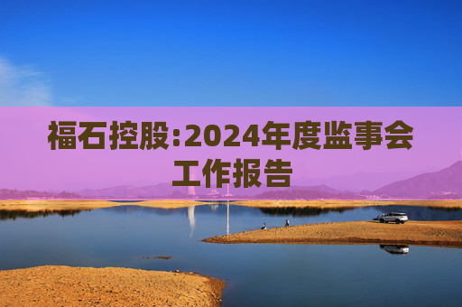 福石控股:2024年度监事会工作报告  第1张