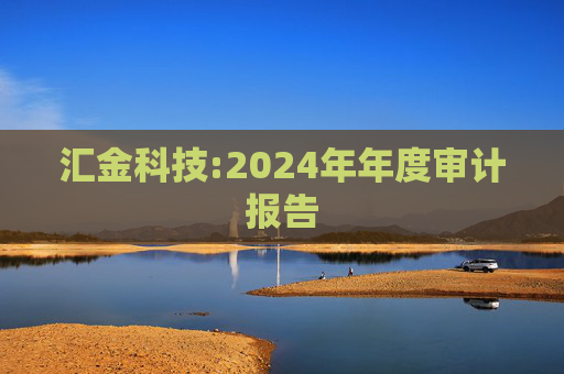 汇金科技:2024年年度审计报告