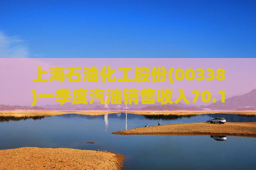 上海石油化工股份(00338)一季度汽油销售收入70.13亿元