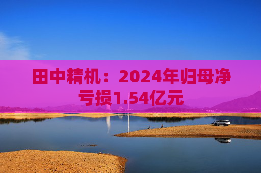 田中精机：2024年归母净亏损1.54亿元