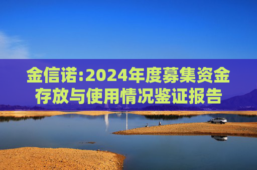 金信诺:2024年度募集资金存放与使用情况鉴证报告