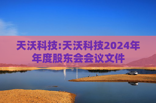 天沃科技:天沃科技2024年年度股东会会议文件