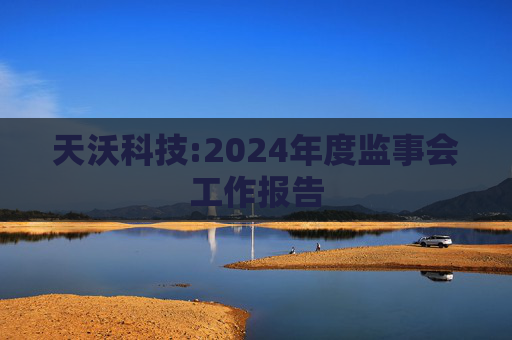 天沃科技:2024年度监事会工作报告  第1张