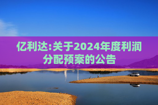 亿利达:关于2024年度利润分配预案的公告  第1张