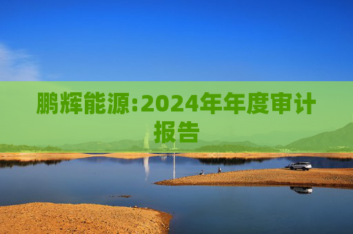 鹏辉能源:2024年年度审计报告