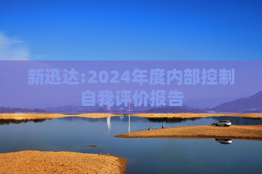 新迅达:2024年度内部控制自我评价报告