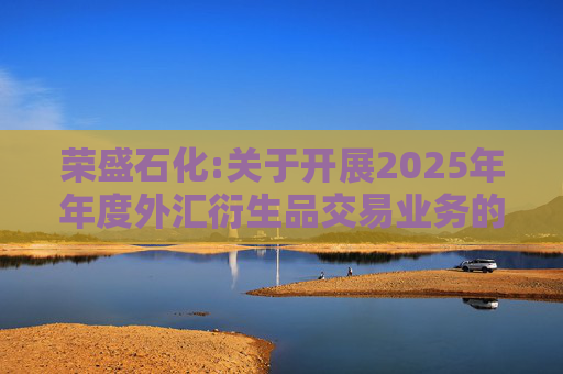 荣盛石化:关于开展2025年年度外汇衍生品交易业务的公告