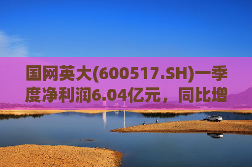 国网英大(600517.SH)一季度净利润6.04亿元，同比增长45.22%  第1张