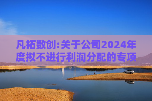 凡拓数创:关于公司2024年度拟不进行利润分配的专项说明  第1张