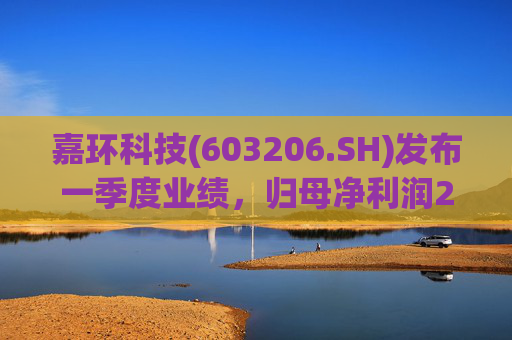 嘉环科技(603206.SH)发布一季度业绩，归母净利润2021.72万元，同比下降21.02%