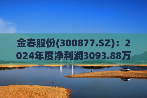 金春股份(300877.SZ)：2024年度净利润3093.88万元 拟10派1元