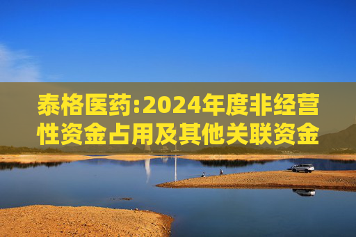 泰格医药:2024年度非经营性资金占用及其他关联资金往来情况的专项报告
