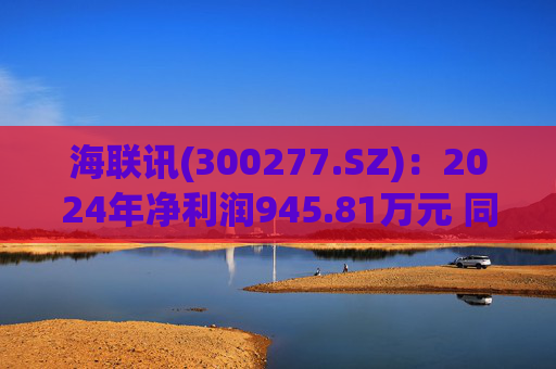 海联讯(300277.SZ):2024年净利润945.81万元 同比下降12.5%