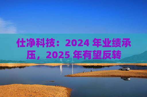 仕净科技：2024 年业绩承压，2025 年有望反转