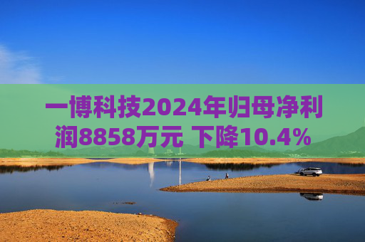 一博科技2024年归母净利润8858万元 下降10.4%