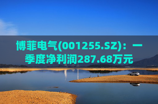 博菲电气(001255.SZ)：一季度净利润287.68万元  第1张