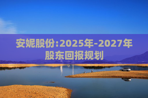 安妮股份:2025年-2027年股东回报规划  第1张
