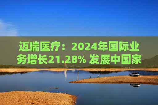 迈瑞医疗:2024年国际业务增长21.28% 发展中国家成重要增长引擎 第1张 迈瑞医疗:2024年国际业务增长21.28% 发展中国家成重要增长引擎 第1张