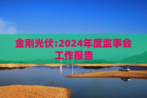 金刚光伏:2024年度监事会工作报告