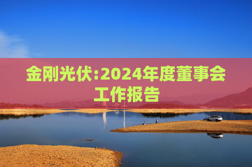 金刚光伏:2024年度董事会工作报告