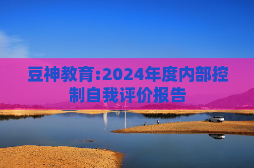 豆神教育:2024年度内部控制自我评价报告  第1张