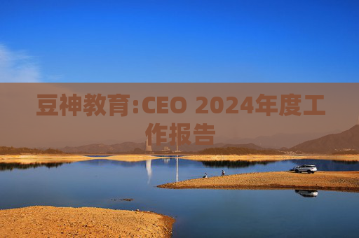 豆神教育:CEO 2024年度工作报告  第1张