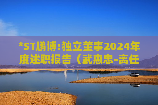 *ST鹏博:独立董事2024年度述职报告（武惠忠-离任）
