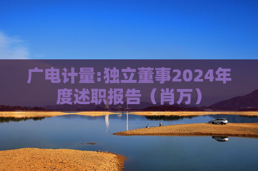 广电计量:独立董事2024年度述职报告（肖万）