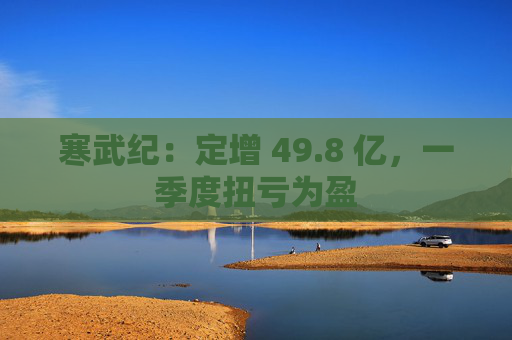 寒武纪：定增 49.8 亿，一季度扭亏为盈