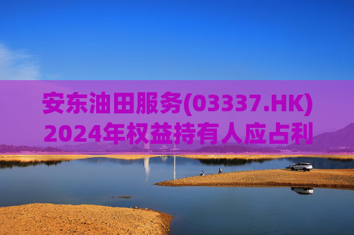 安东油田服务(03337.HK)2024年权益持有人应占利润2.43亿元 同比增长约23.5%