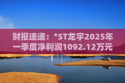 财报速递：*ST龙宇2025年一季度净利润1092.12万元