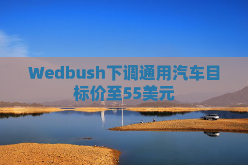 Wedbush下调通用汽车目标价至55美元  第1张