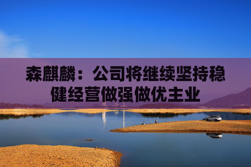 森麒麟：公司将继续坚持稳健经营做强做优主业  第1张