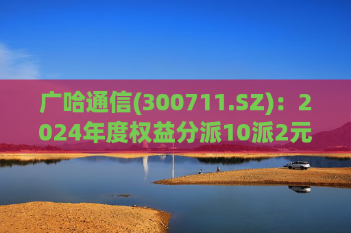 广哈通信(300711.SZ):2024年度权益分派10派2元 股权登记日5月12日