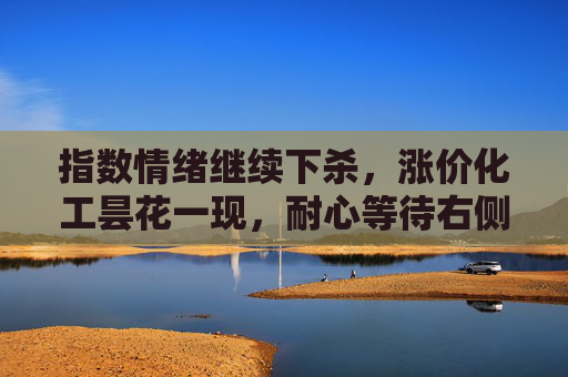 指数情绪继续下杀，涨价化工昙花一现，耐心等待右侧机会 #A股 #指数 #大盘 #量化 #短线